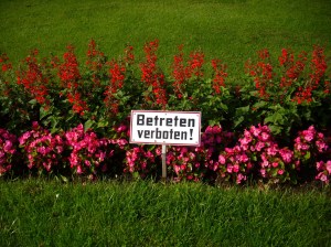 ultime foto Francia 197