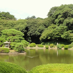 Shinjuku_Gyoen_National_Garden_2