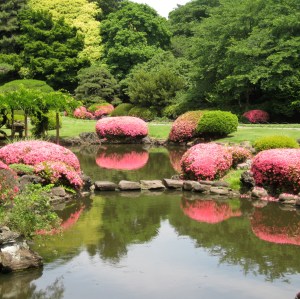 Shinjuku_Gyoen,_Tokyo